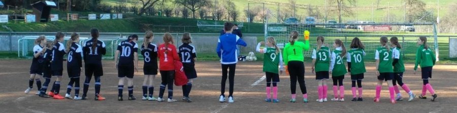 23.03.2019 E-Juniorinnen DJK Heuweiler - FC Weisweil