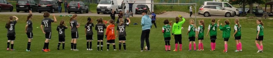 17.05.2019 E-Juniorinnen SG Müllheim - DJK Heuweiler