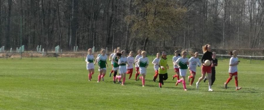 23.03.2019 D2-Juniorinnen SG Heuweiler-Vörstetten - SG Munzingen