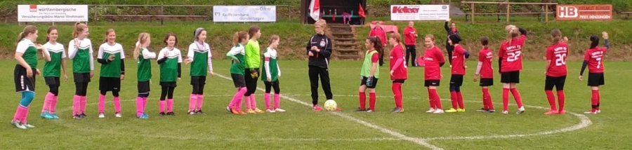 19.05.2019 E-Juniorinnen DJK Heuweiler - SpVgg. 09 Buggingen/Seefelden