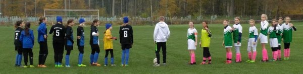 10.11.2018 D2-Juniorinnen SG Heuweiler-Vörstetten Windenreute
