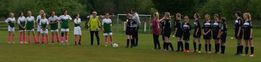 17.05.2019 D1-Juniorinnen FC Weisweil - SG Heuweiler